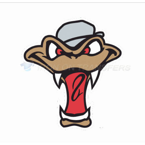 Wisconsin Timber Rattlers Iron-on Stickers (Heat Transfers)NO.8140